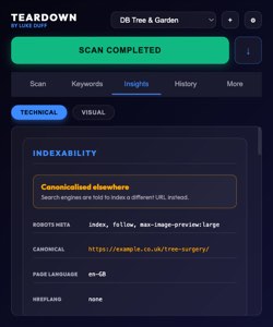 The Insights tab opening with an indexability verdict of Canonicalised elsewhere, followed by the robots meta value, canonical URL, page language and hreflang status.