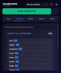 The Keywords tab listing short tail terms with frequency counts alongside recurring long tail phrases.